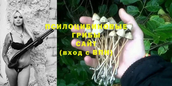 индика Алексеевка