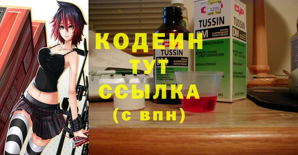 дурь Алзамай