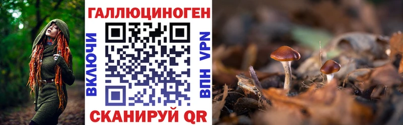 маркетплейс Telegram  Нижние Серги  Галлюциногенные грибы мицелий 